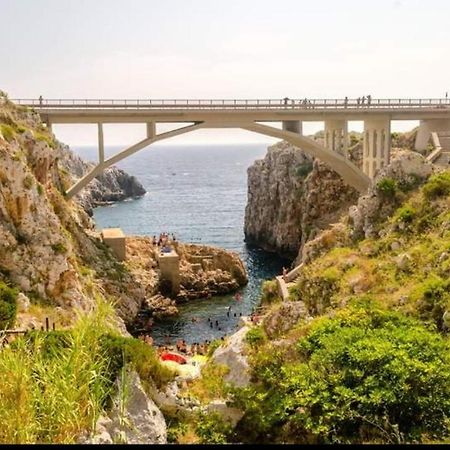 Casa Vacanze "Il Carrubo" Ґальяно-дель-Капо Екстер'єр фото