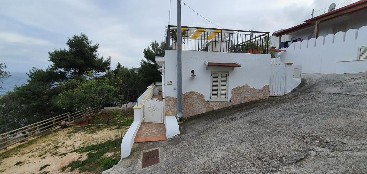 Casa Vacanze "Il Carrubo" Ґальяно-дель-Капо Екстер'єр фото